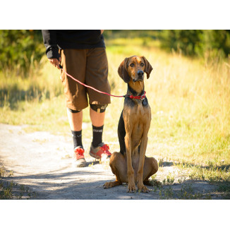KNOT-A-COLLAR TWILIGHT GRAY M