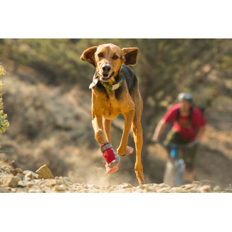 TOP ROPE COLLAR KOKANEE RED S