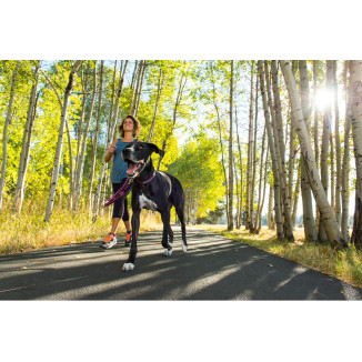 TOP ROPE COLLAR KOKANEE RED S