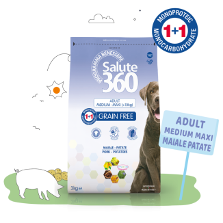 SALUTE NOGRAIN MAIALE/PATATE 12KG