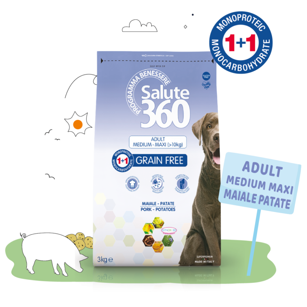 SALUTE NOGRAIN MAIALE/PATATE 12KG