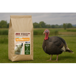 Crocchette Cane Grain Free Tacchino 12kg My Feed