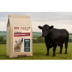 MY FEED GF MANZO ANGUS/PATATE DOLCI 12KG