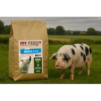 Crocchette Cane Grain Free Maiale 2kg My Feed