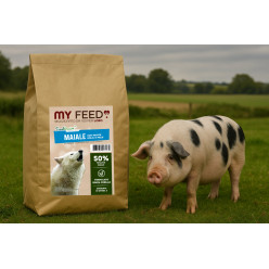 Crocchette Cane Grain Free Maiale 12kg My Feed