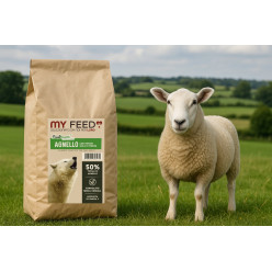 MY FEED GF AGNELLO/PATATE DOLCI 12KG