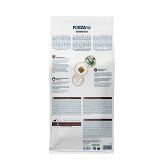 FORZA 10 INTESTINAL COLON FASE 1 10KG