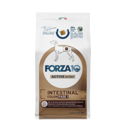 FORZA 10 INTESTINAL COLON FASE 1 4KG