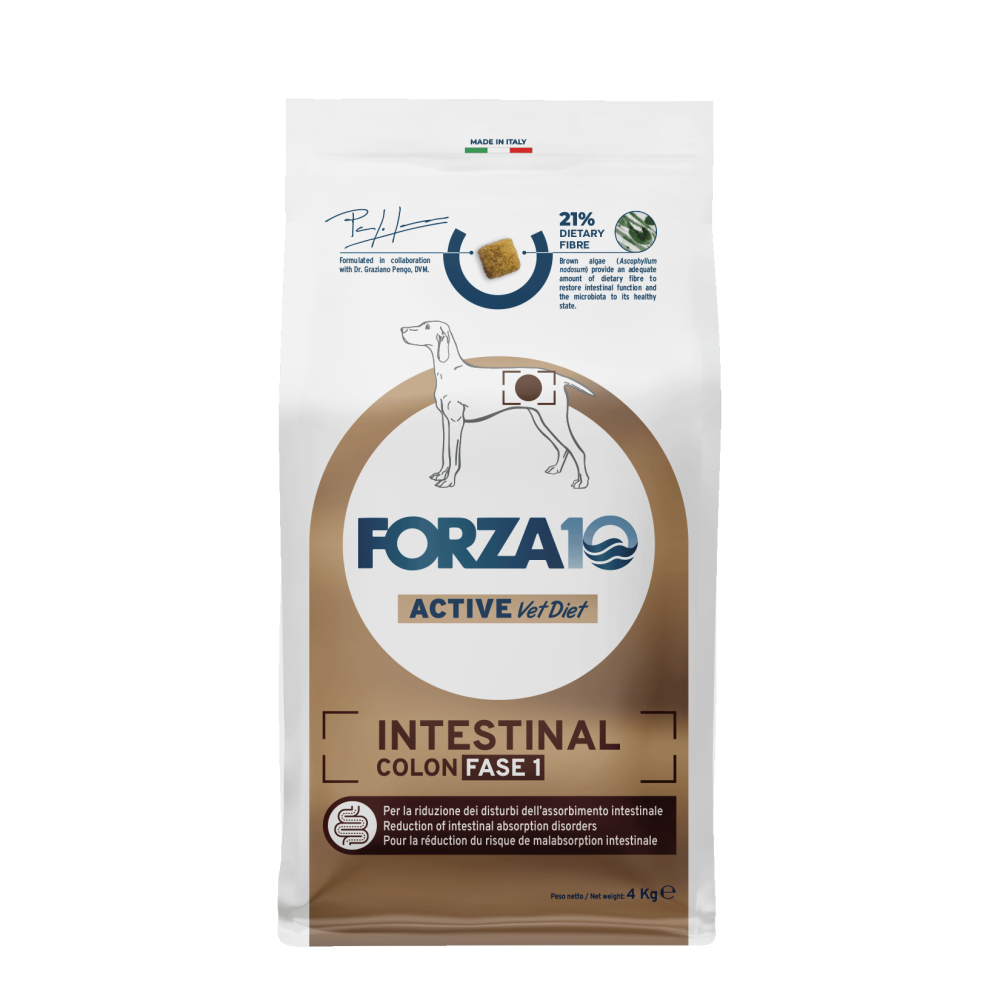 FORZA 10 INTESTINAL COLON FASE 1 4KG