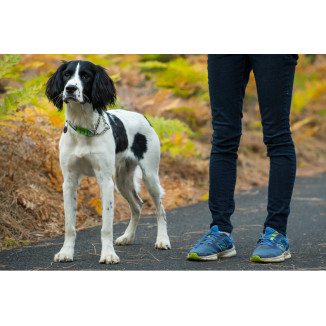 CHAIN REACTION COLLAR BLUE DUSK L