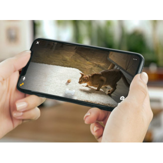 Petcube Bites 2 Lite Smart Pet Camera con Lancio Snack e Audio Bidirezionale