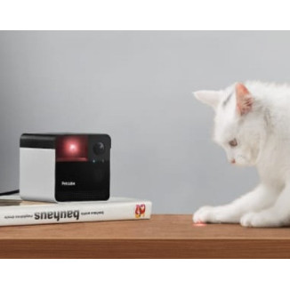 Petcube Play 2 – Telecamera HD per Cani e Gatti con Laser Interattivo