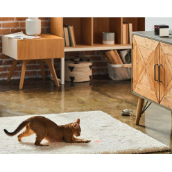 Petcube Play 2 – Telecamera HD per Cani e Gatti con Laser Interattivo