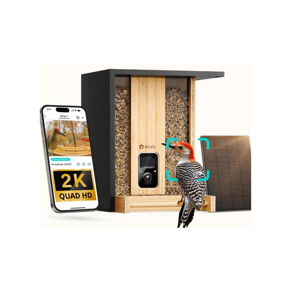 Birdfy Feeder Bamboo con Telecamera AI | Mangiatoia Smart Uccelli | Hobby Pet