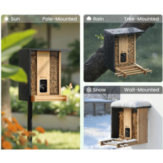 Birdfy Feeder Bamboo con Telecamera AI | Mangiatoia Smart Uccelli | Hobby Pet