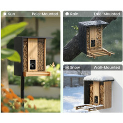 Birdfy Feeder Bamboo con Telecamera AI | Mangiatoia Smart Uccelli | Hobby Pet