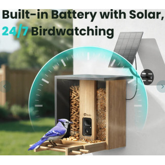 Birdfy Feeder Bamboo con Telecamera AI | Mangiatoia Smart Uccelli | Hobby Pet