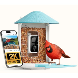 Mangiatoia per Uccelli con Telecamera 2K e AI – Birdfy