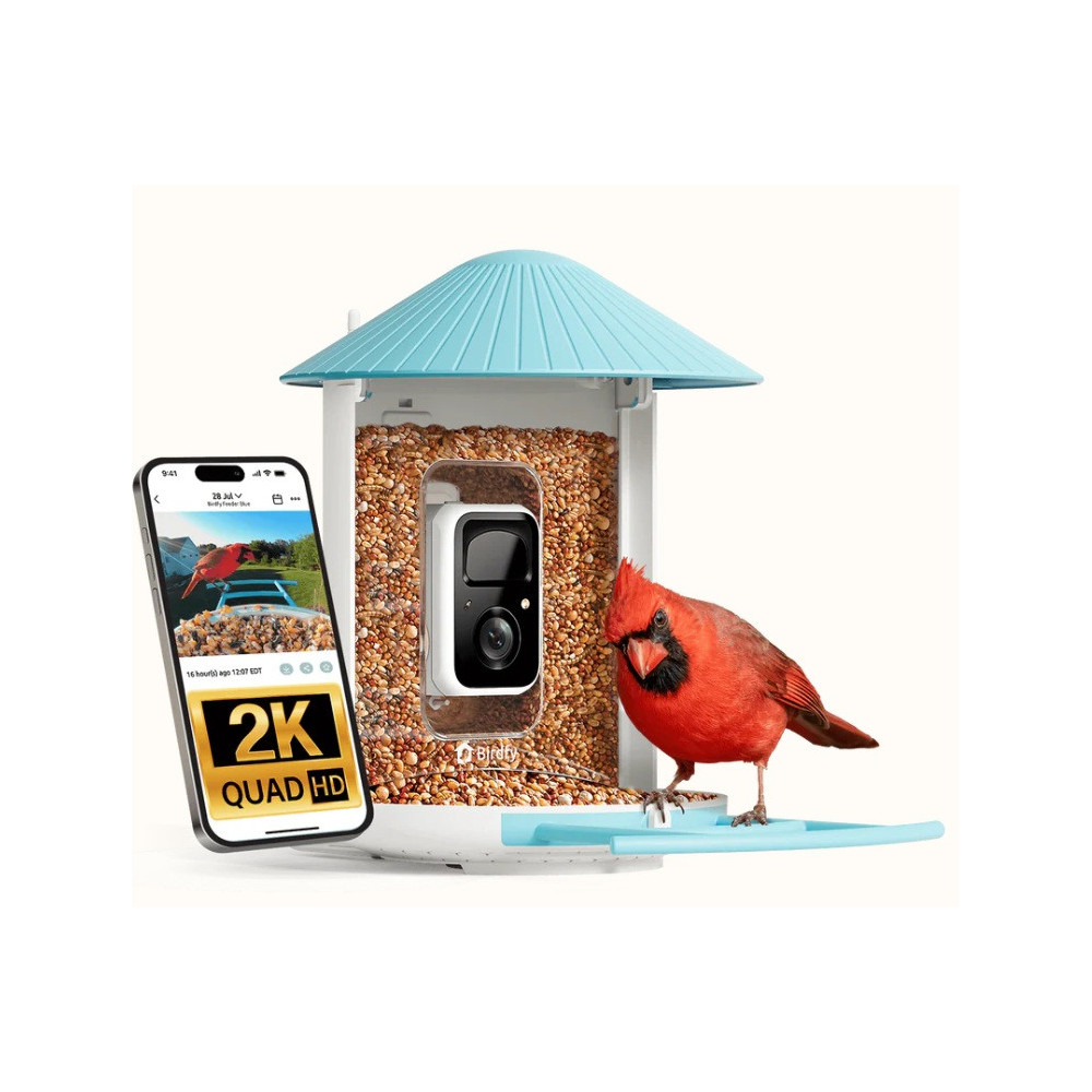 Mangiatoia per Uccelli con Telecamera 2K e AI – Birdfy