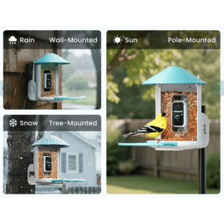 Mangiatoia per Uccelli con Telecamera 2K e AI – Birdfy