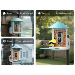 Mangiatoia per Uccelli con Telecamera 2K e AI – Birdfy