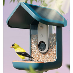 Mangiatoia Uccelli PRO con Telecamera 2K HDR e AI 6000+ Specie