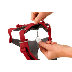 Ruffwear Front Range Pettorina Cane XXS Red Canyon | Hobby Pet
