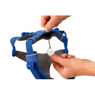 Ruffwear Front Range Harness Blue Pool XXS | Pettorina Cane Imbottita