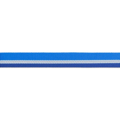 Collare Ruffwear Martingala con Catena | Chain Reaction™ per Cani Blue Pool L