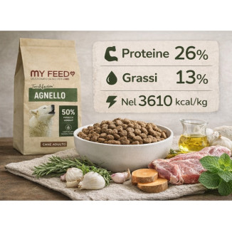 Crocchette Cane Grain Free Agnello 2kg My Feed