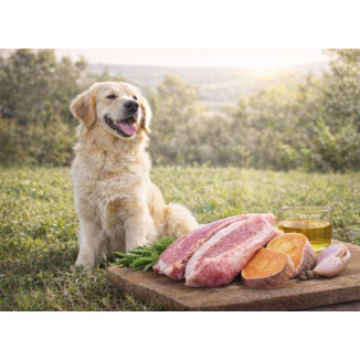 Crocchette Cane Grain Free Anatra 6kg My Feed