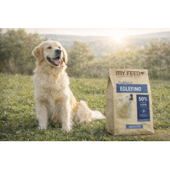 Crocchette Cane Grain Free Pesce Eglefino 2kg My Feed