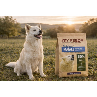 Crocchette Cane Grain Free Maiale 12kg My Feed