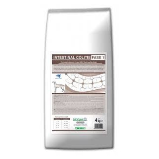 F 10 INTESTINAL COLON FASE 1 4KG