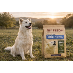 Crocchette Cane Grain Free Maiale 6kg My Feed
