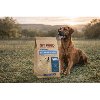 Crocchette Cane Grain Free Salmone Trota 12kg My Feed