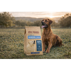 Crocchette Cane Grain Free Salmone Trota 12kg My Feed