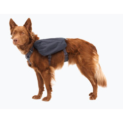 Ruffwear Front Range Day Pack M | Pettorina Zaino Cane