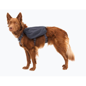 Ruffwear Front Range Day Pack L-XL | Pettorina Zaino Cane