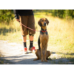 KNOT-A-COLLAR RED CURRANT M