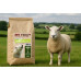 My Feed small breed Agnello con patate dolci e menta 2kg