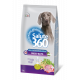 SALUTE360 ADULT ANATRA E AVENA 12KG