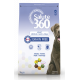 SALUTE360 ADULT MAIALE E PATATE 12KG